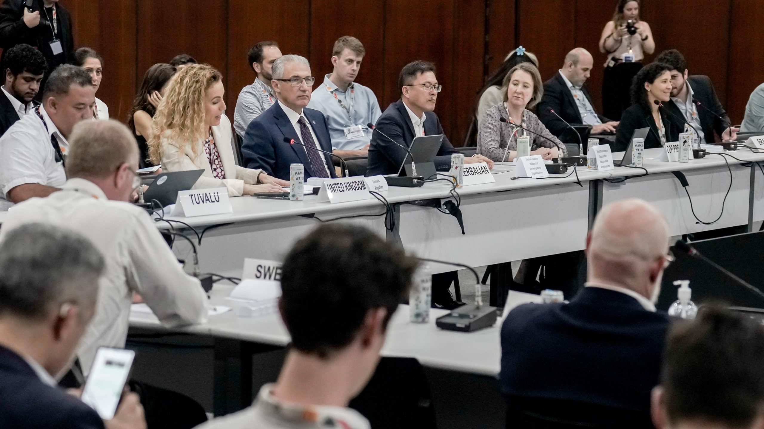 UNIDO-COP30 (1)