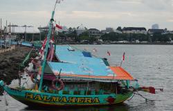 Halmahera Celios
